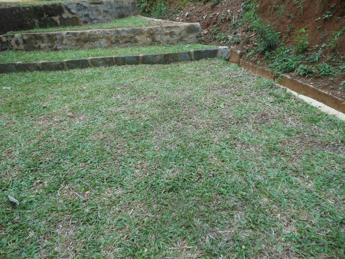 Lavender Hills Home Stay Kandy Dış mekan fotoğraf
