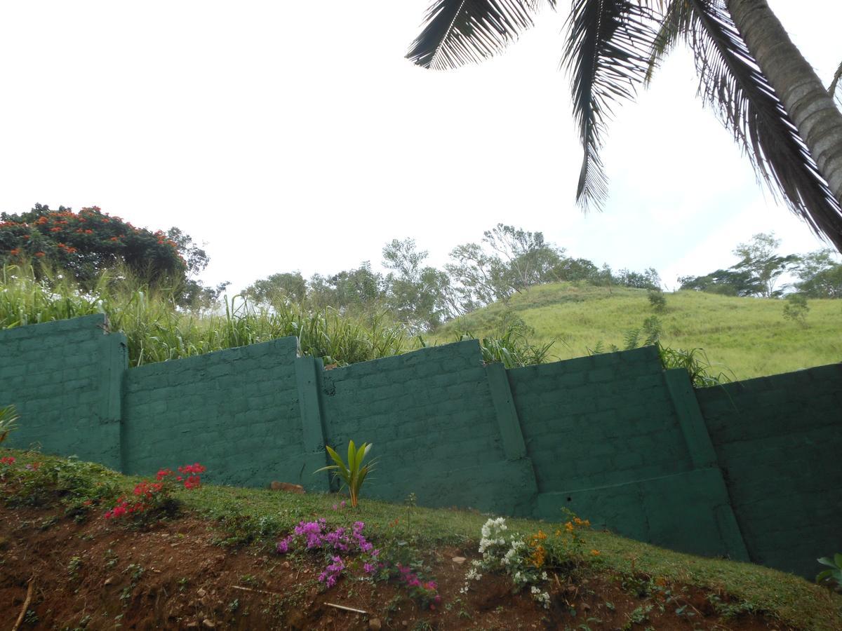 Lavender Hills Home Stay Kandy Dış mekan fotoğraf