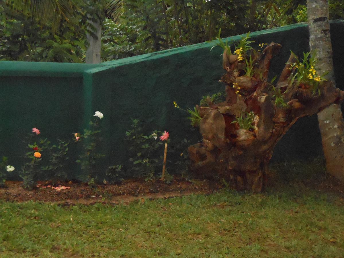 Lavender Hills Home Stay Kandy Dış mekan fotoğraf